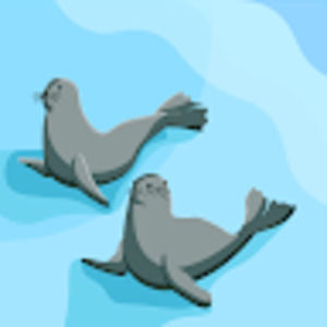 Meet your Posher, Halo's